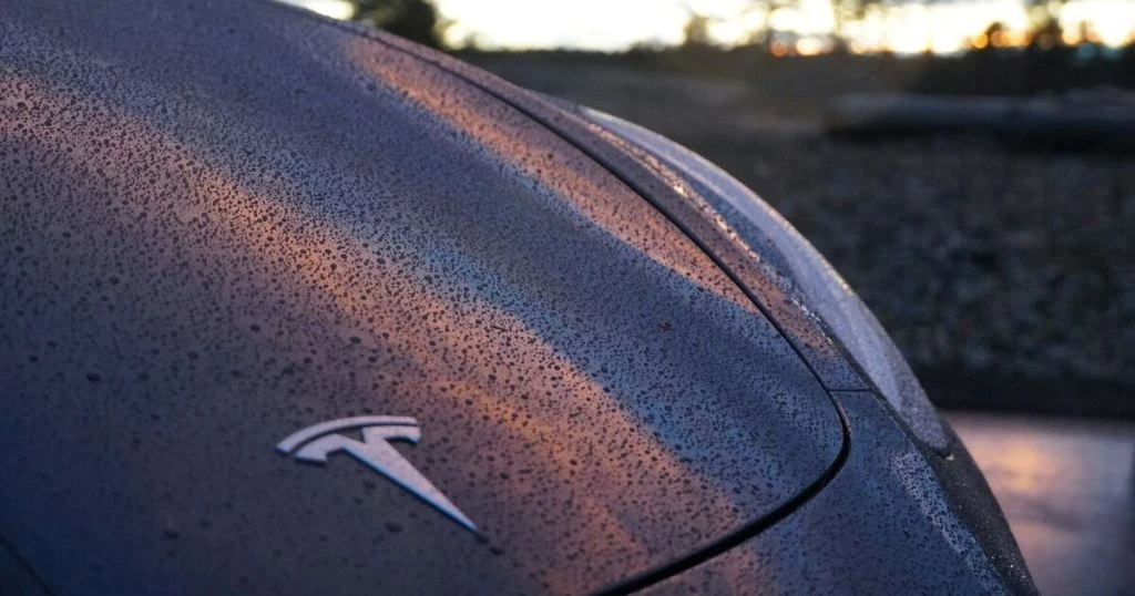 Nissan, Volkswagen і Tesla: які авто стали хітами серед українських покупців